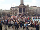 traf sq eclipse 02.jpg